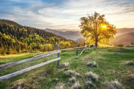 Aplicación para Enviar Mensajes de Buenos Días, Buenas Tardes y Buenas Noches