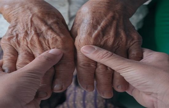 Descubre tu Historia Familiar: Cómo Conocer Tus Ancestros con Tecnología